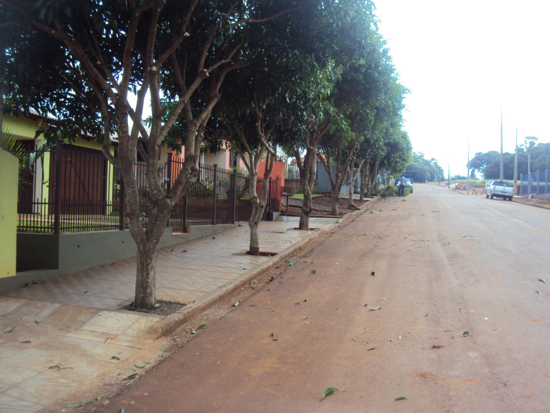 Departamento de Meio Ambiente orienta em relação a poda e retirada de árvor