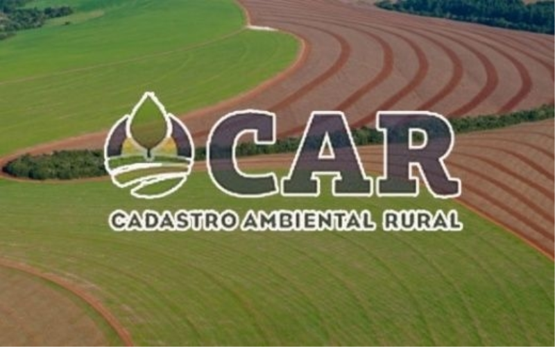 Secretaria de Desenvolvimento Econômico e Sustentável auxiliará produtores 