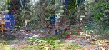 <p>Preserve o Meio Ambiente: N&atilde;o jogue lixo em local indevido!</p>