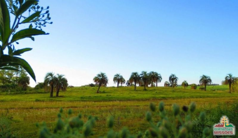 Prefeito realiza vistoria no trajeto da 1ª Edição da Trilha da Lua Cheia.