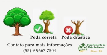 Governo Municipal alerta para per&iacute;odo oficial de poda e procedimentos obrigat&oacute;rios