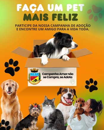 &ldquo;Amor n&atilde;o se Compra, se Adota&rdquo;: campanha busca novos lares para animais do Canil Municipal