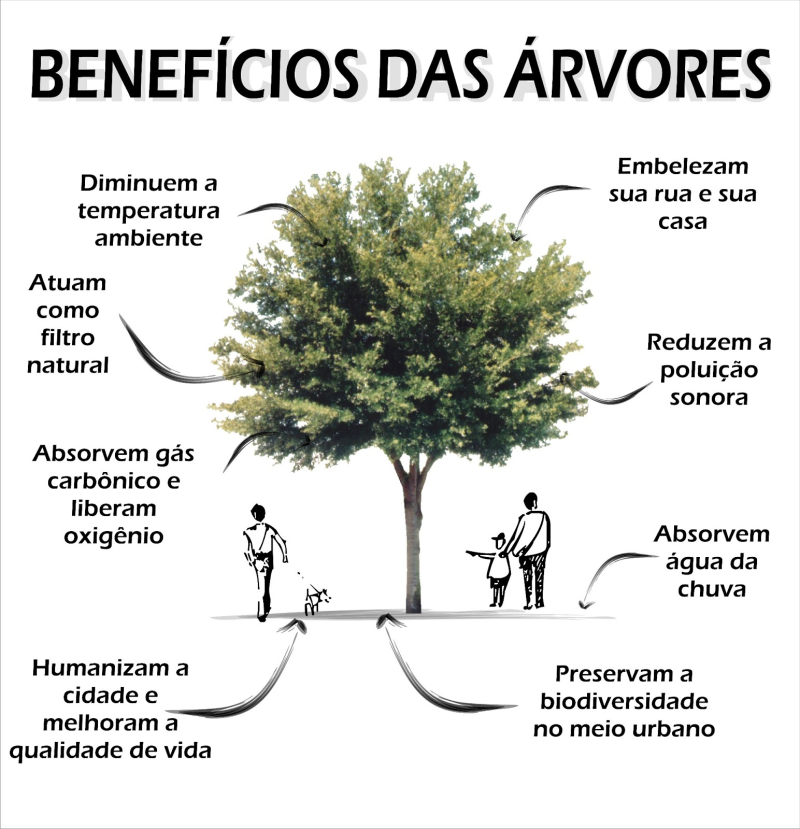 ARBORIZAÇÃO – ADOTE ESSA IDÉIA