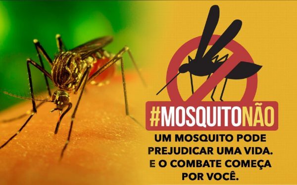 Secretaria Municipal de Saúde alerta sobre alto índice do mosquito da Dengue