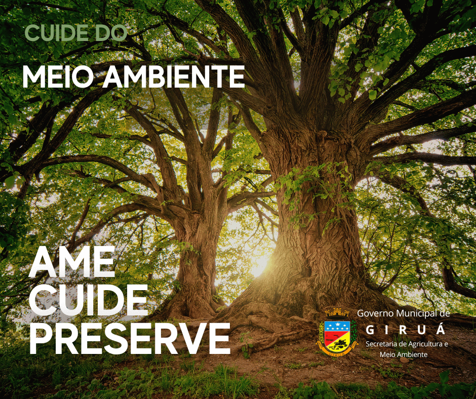 Período de podas de árvores encerra este mês