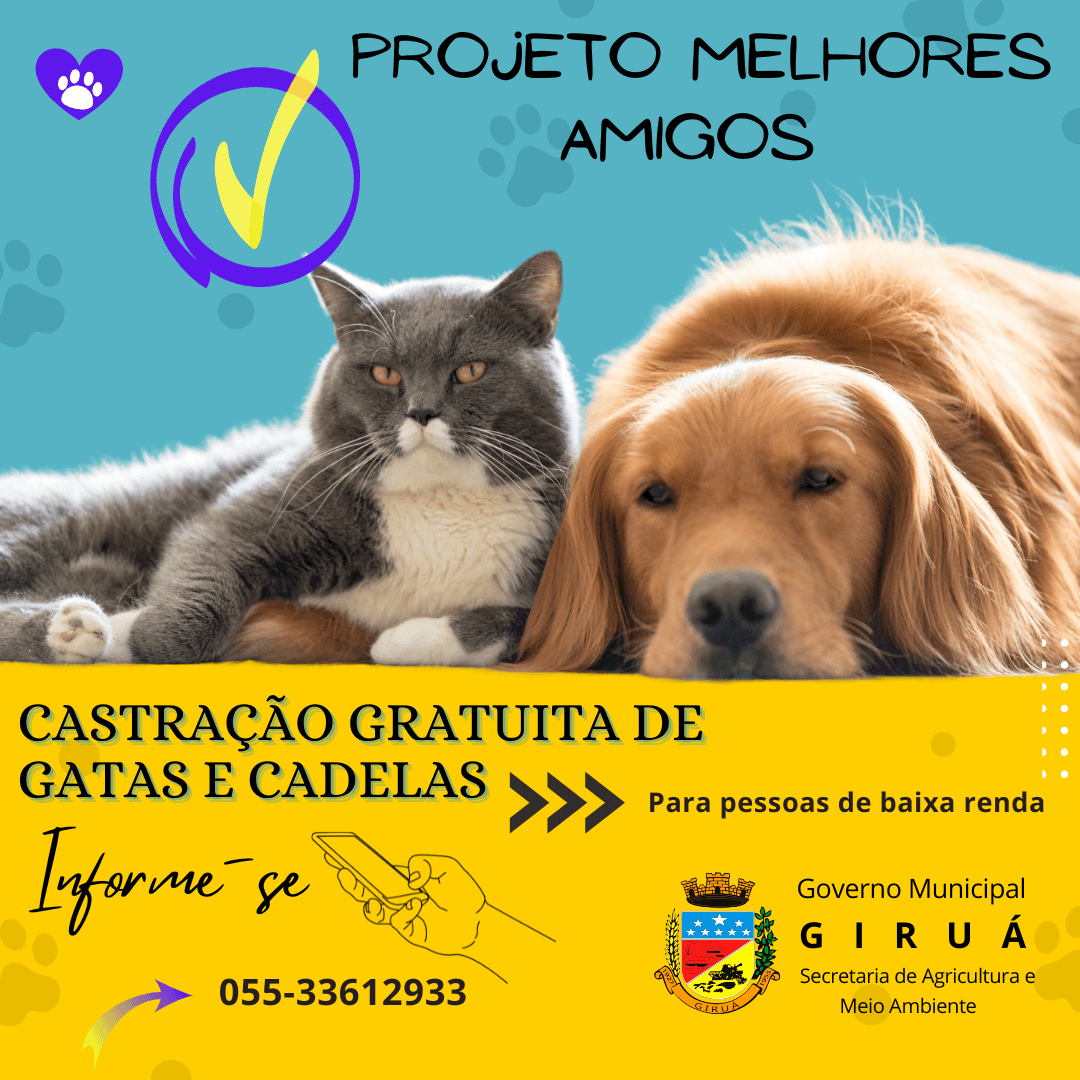 Projeto Melhores Amigos deverá castrar gatas e cadelas de forma gratuita