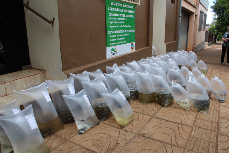 Secretaria de Agricultura faz 4ª entrega de alevinos em 2018