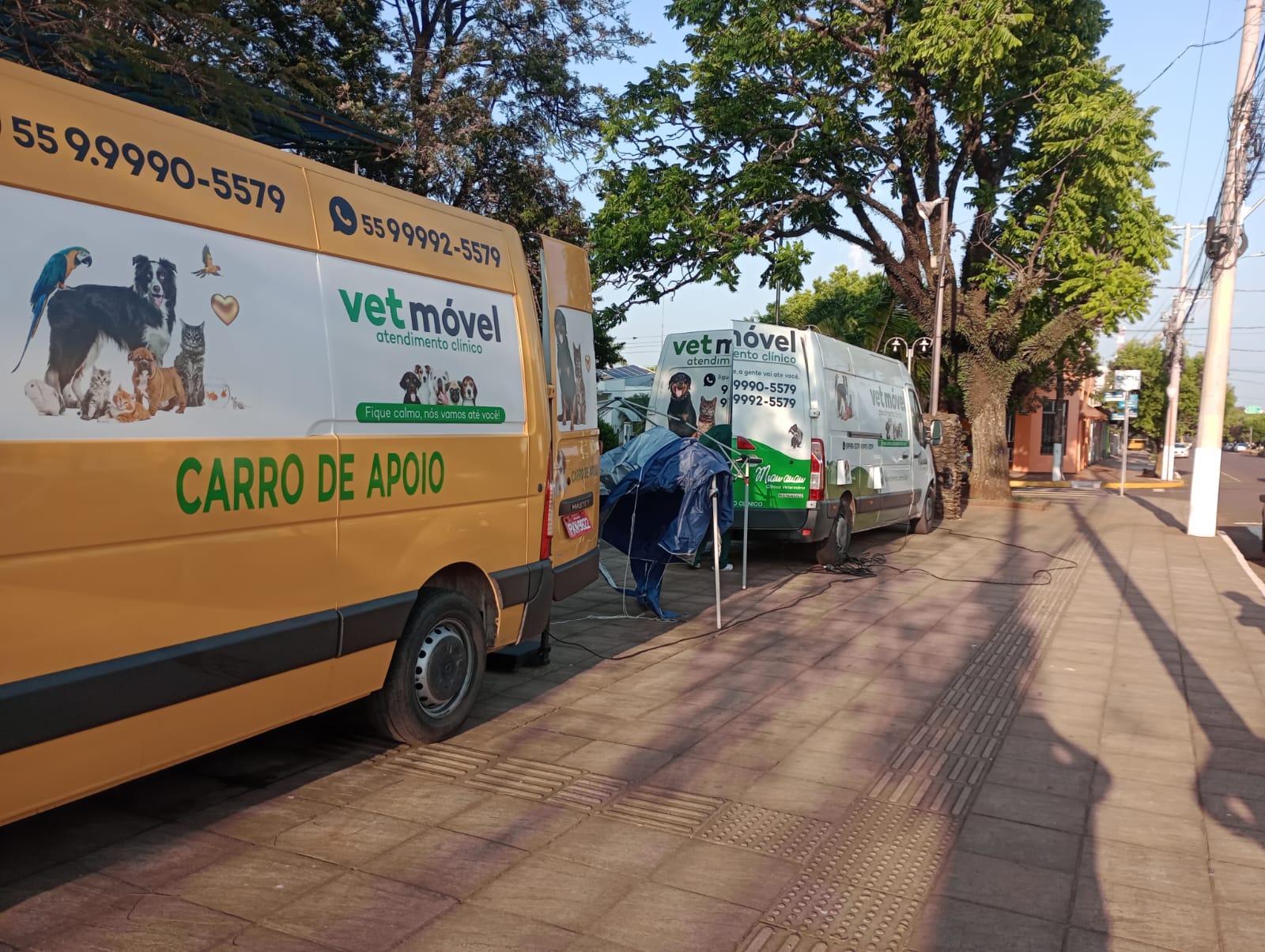 Projeto Melhores Amigos em fase de execução, castra gatas e cadelas de forma gratuita
