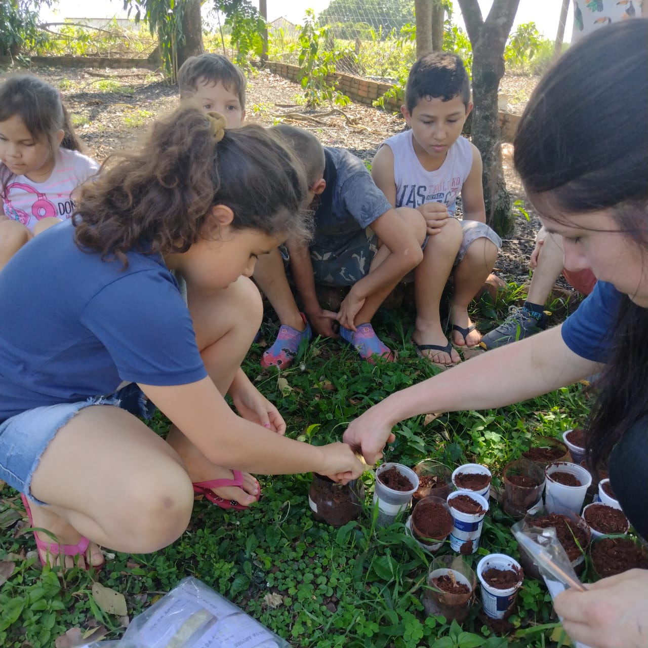 Sementes e mudas de árvores distribuídas para alunos e comunidade