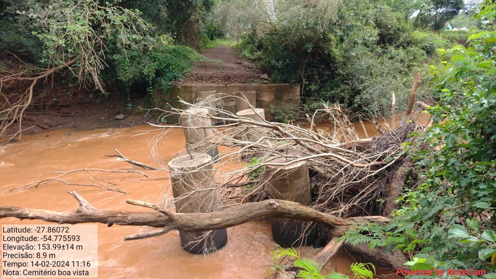 <p>PONTE SOBRE RIO AMANDA&Uacute; ( BOA VISTA)</p>
<p>&nbsp;</p>