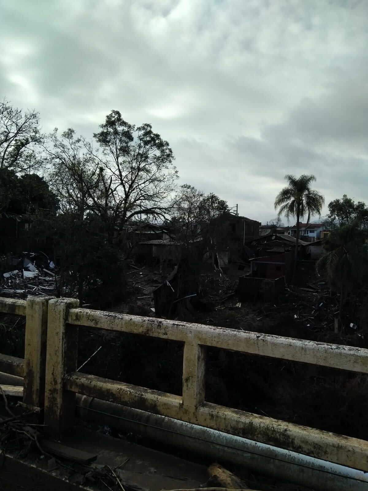 <p>C&acirc;ndido God&oacute;i adota Arroio do Meio</p>