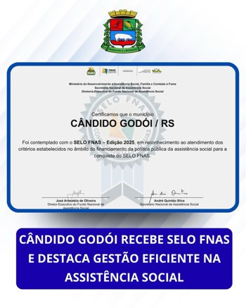 Selo do Fundo Nacional de Assist&ecirc;ncia Social (FNAS)