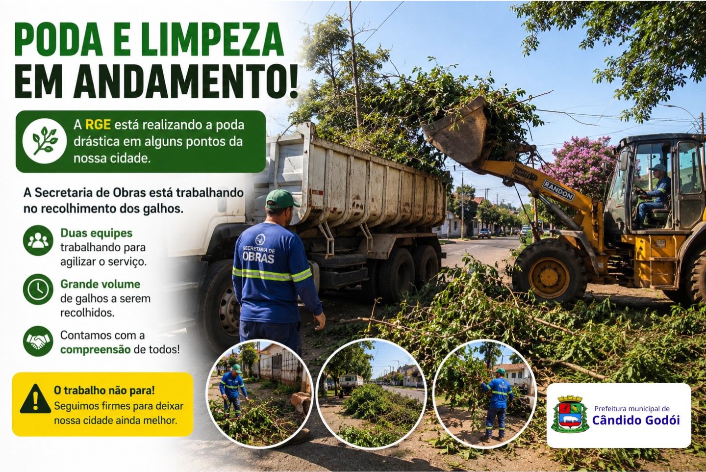 Poda e limpeza em andamento!