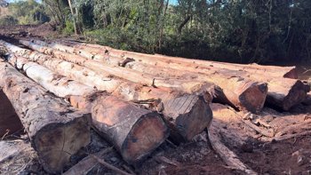 reconstru&ccedil;&atilde;o da ponte da Linha dos Louros