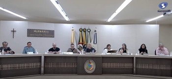 <p><strong>13&ordf; SESS&Atilde;O ORDIN&Aacute;RIA 04/08/2025</strong></p>