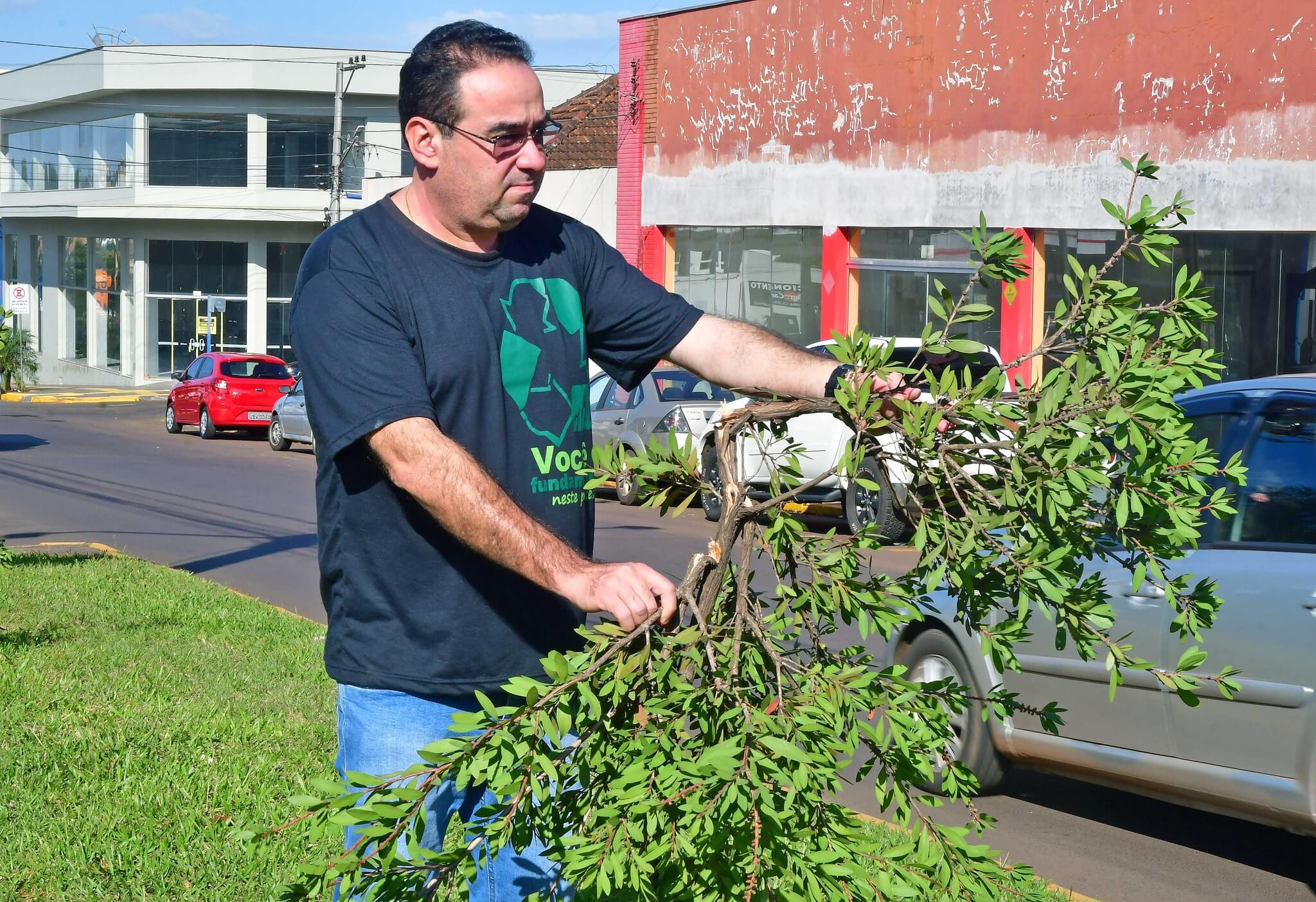 Vândalos destroem mais de 20 árvores de canteiros centrais