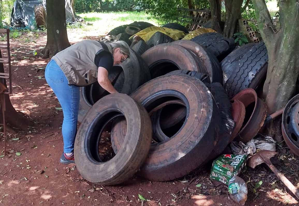 Vigilância Ambiental reforça combate à dengue