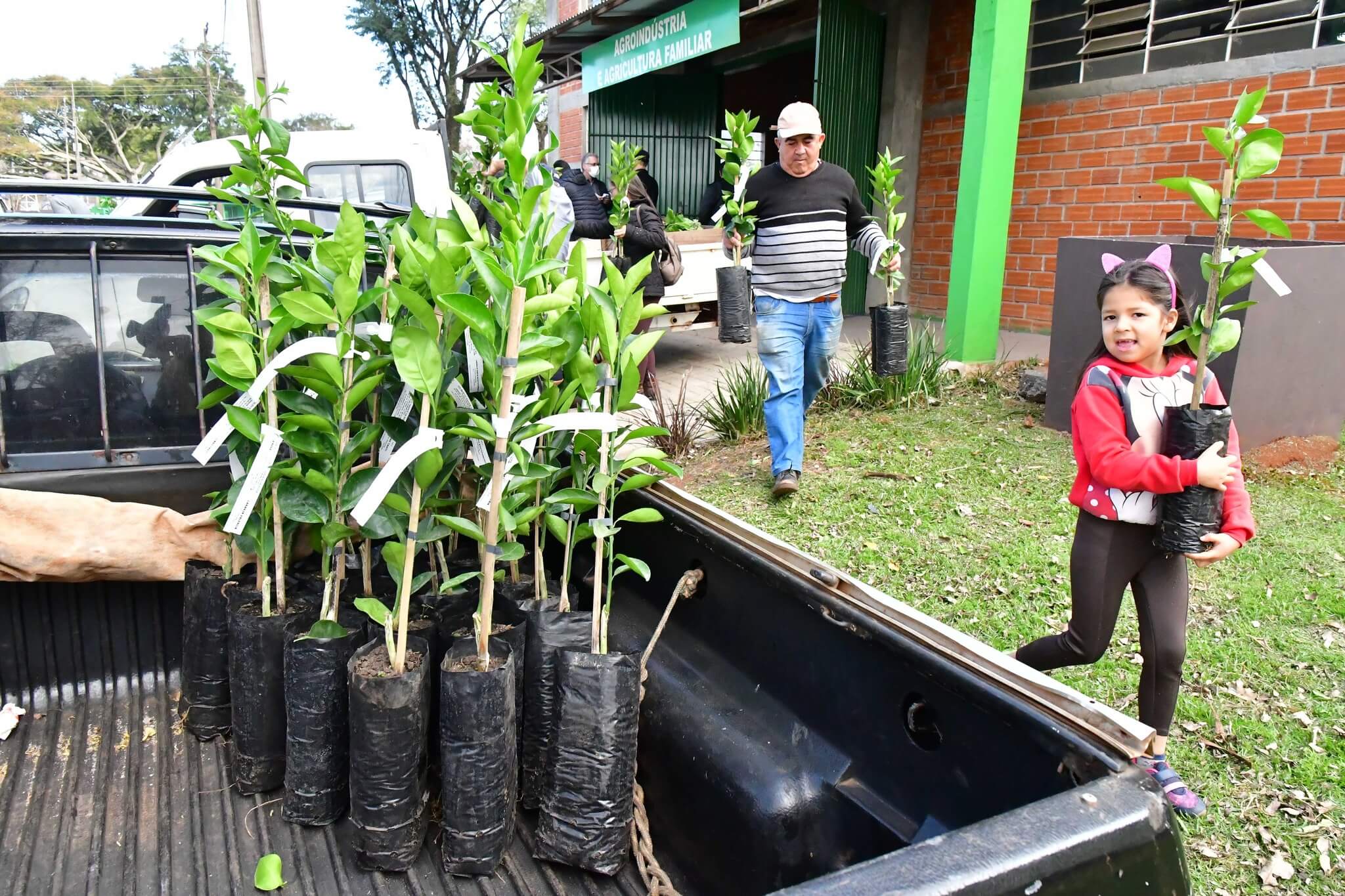 SDR abre inscrições para Programa de Fruticultura