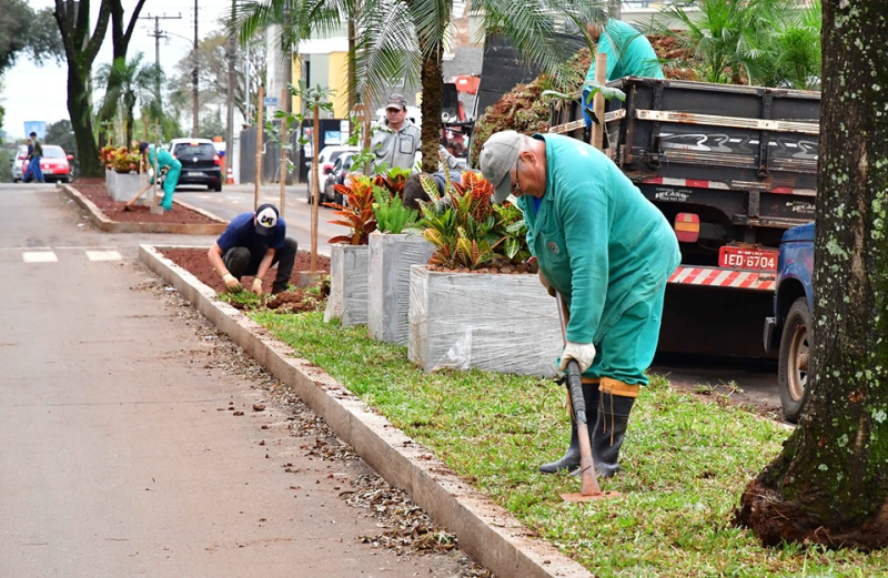 Obras de revitalização urbana chegam aos canteiros da Avenida Brasil