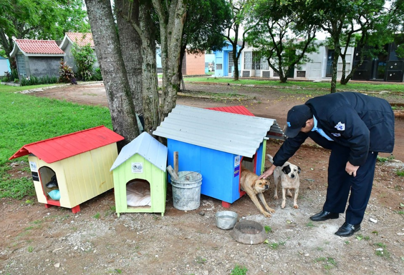 Secretaria de Obras remaneja casa de cães no Cemitério Roque Gonzales