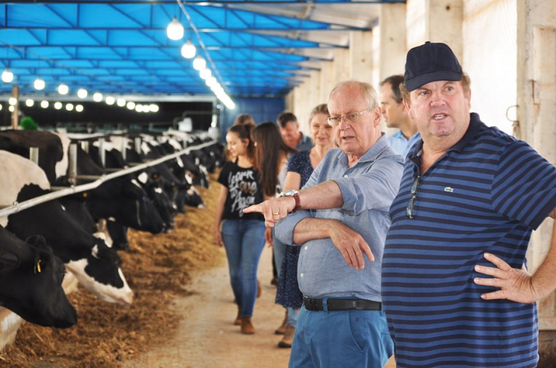 Empreendedores rurais investem na automação da produção leiteira