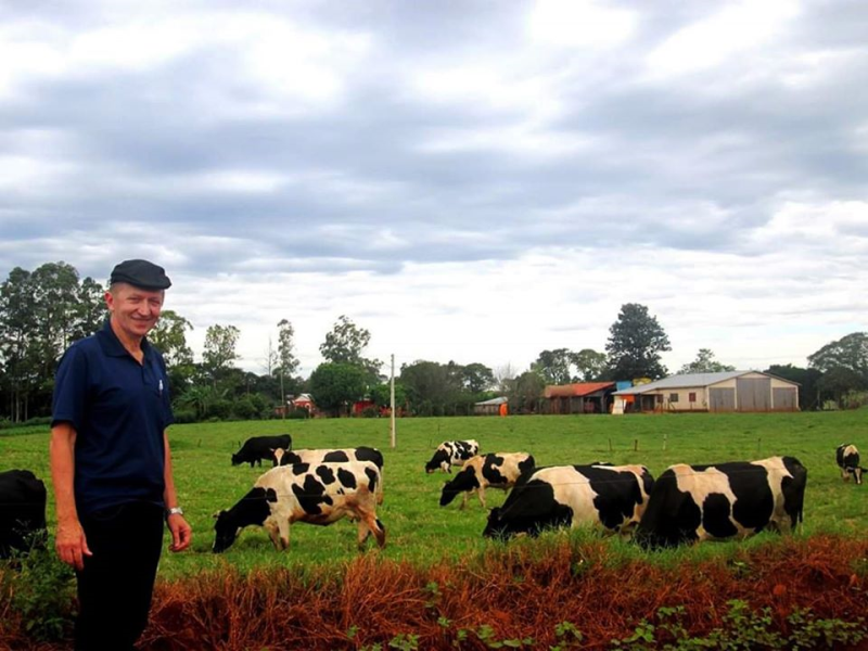 Média da chuva ficou em 83 milímetros e beneficiou pastagens