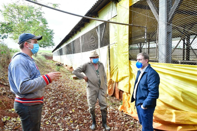 Família Rentz projeta mais investimentos na suinocultura