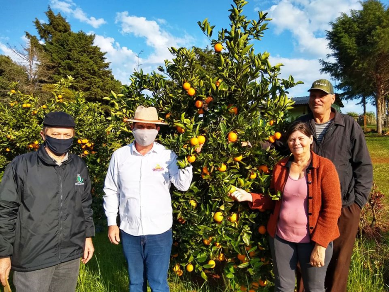 SEMAGRI cadastra produtores de laranja