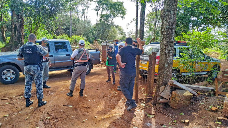 Mais de 40 cães são recolhidos de canil clandestino