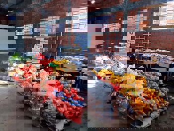 <p>Programa de Aquisi&ccedil;&atilde;o de Alimentos beneficia mais de 70 produtores em Santo &Acirc;ngelo</p>