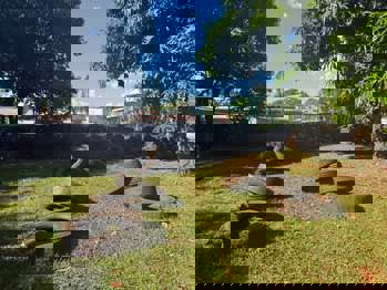 <p>Santo Ângelo possui ecoponto para descarte correto de pneus e combate à dengue</p>