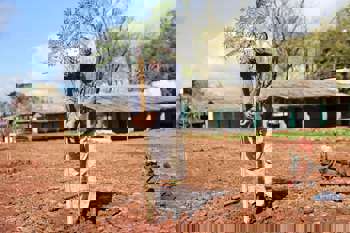 <p>Programa Arboriza&ccedil;&atilde;o + Segura realiza plantio de mais de 200 mudas em Santo &Acirc;ngelo</p>