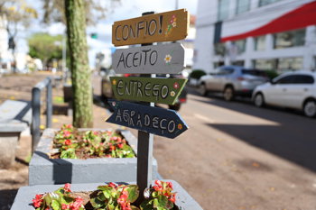 <p>Florir Santo &Acirc;ngelo: canteiros centrais da Avenida Brasil s&atilde;o revitalizados&nbsp;</p>