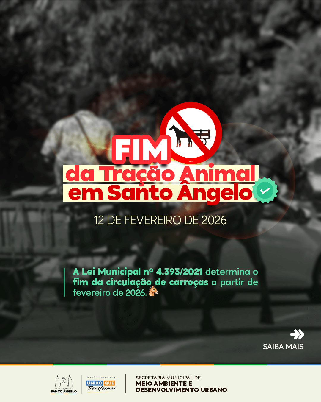 <p>Prefeitura inicia cadastramento de carroceiros para transi&ccedil;&atilde;o do fim da tra&ccedil;&atilde;o animal na &aacute;rea urbana</p>