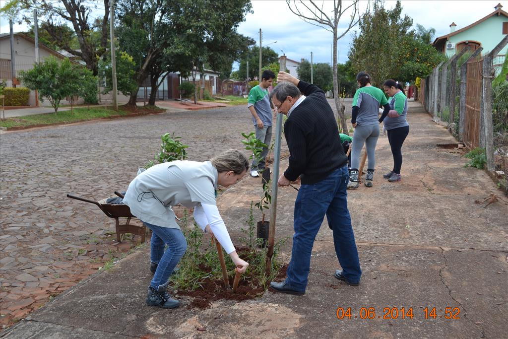Realizado plantio de 200 mudas no bairro Pippi
