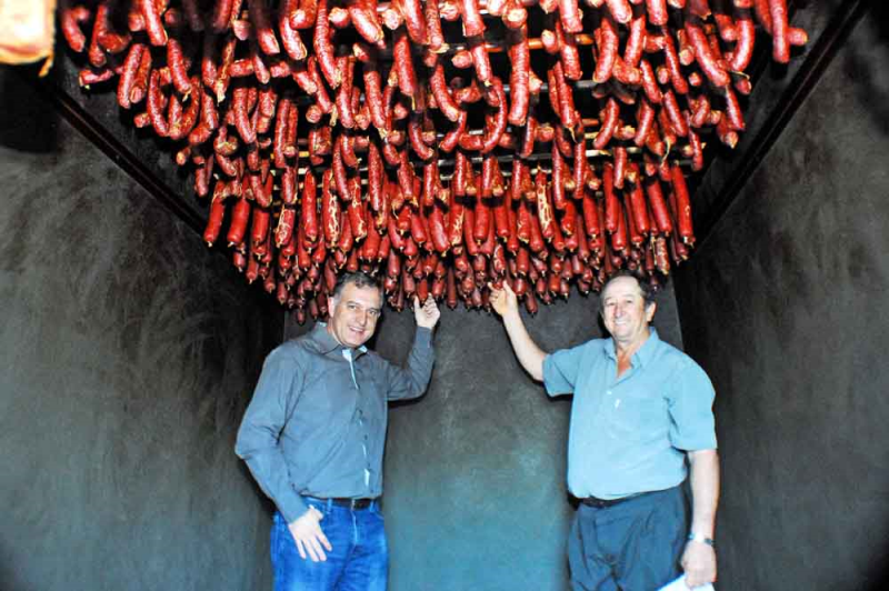 Prefeito acompanha vistoria técnica em agroindústrias