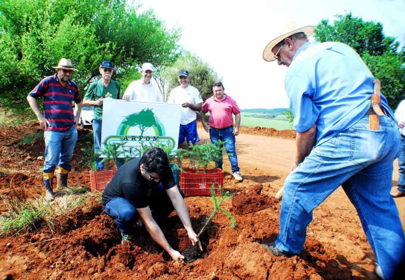 ARFOM e parceiros plantam 170 mudas de árvores