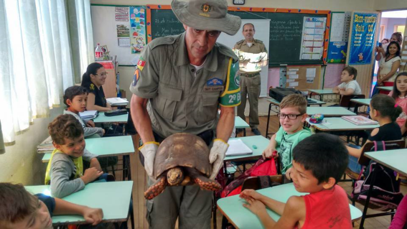 Parceria envolve comunidade escolar no plantio de árvores