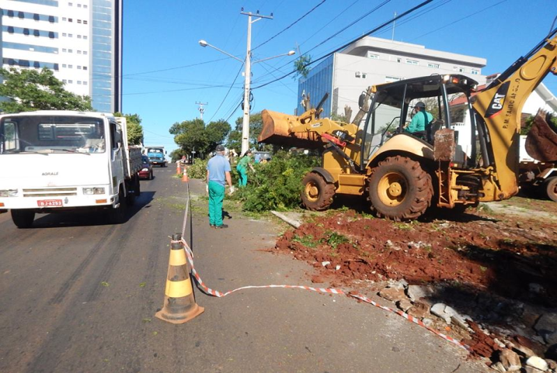Meio Ambiente inicia revitalização da Avenida Rio Grande do Sul