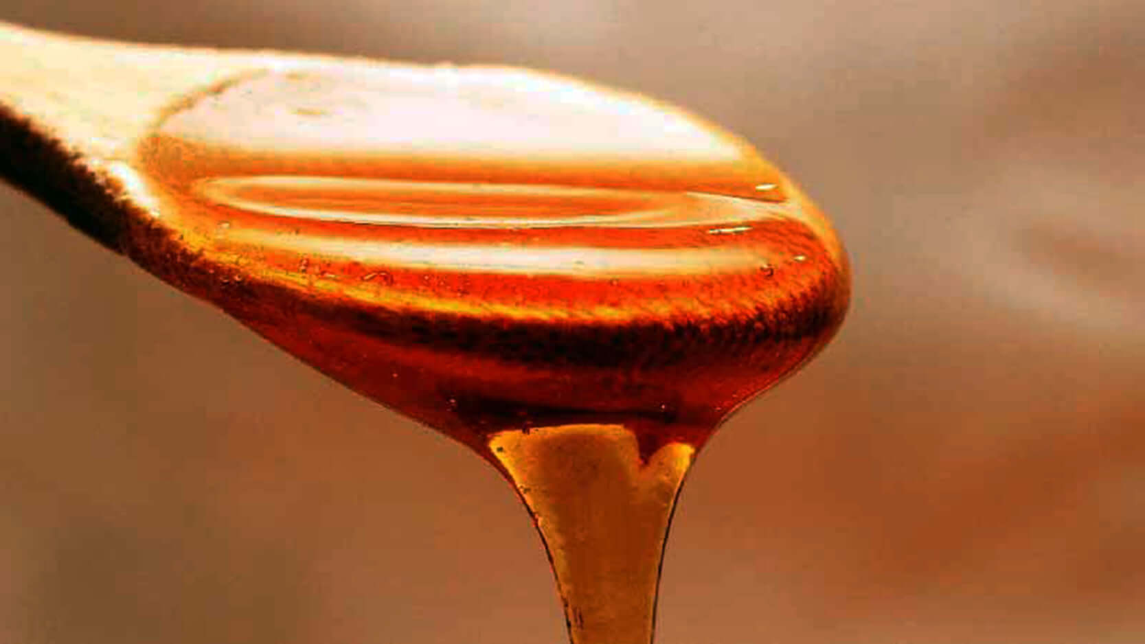 Governo Municipal e Alibem lançam hoje, “Os Caminhos do Mel”