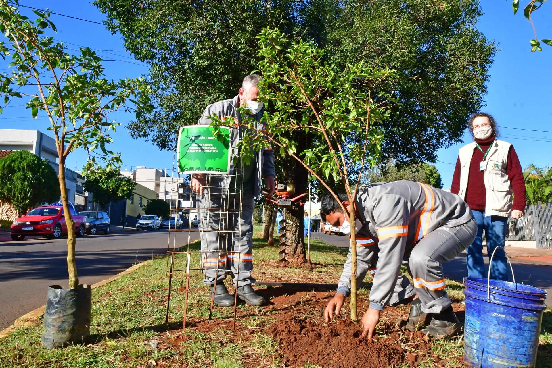 Plantio de 350 mudas marca retomada de projeto ambiental