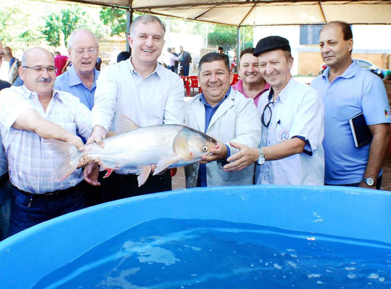 Feira de Santo Ângelo coloca 12,5 toneladas de peixe à venda