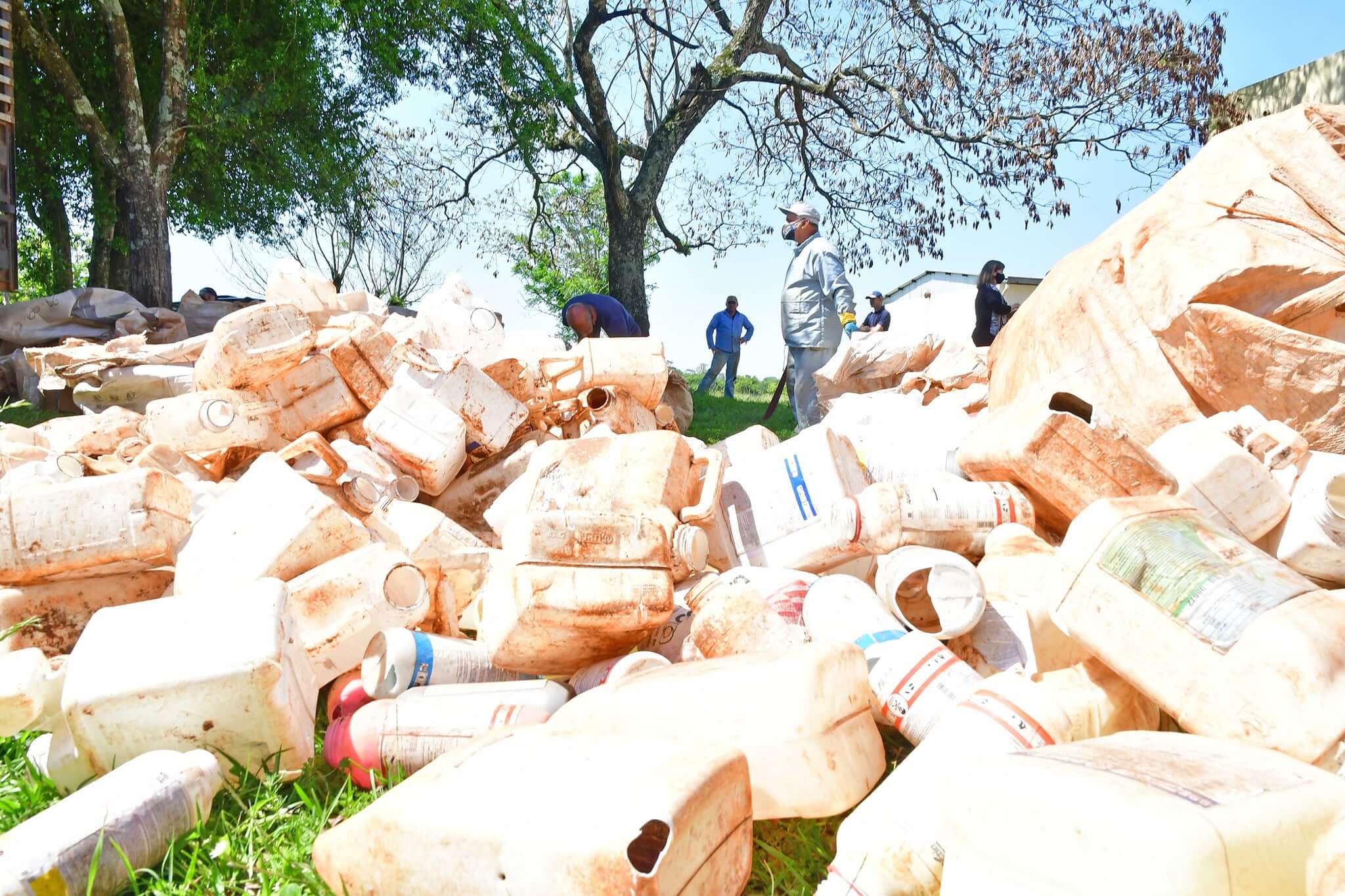 Mais de 21 mil embalagens recolhidas na Campanha Campo Limpo 