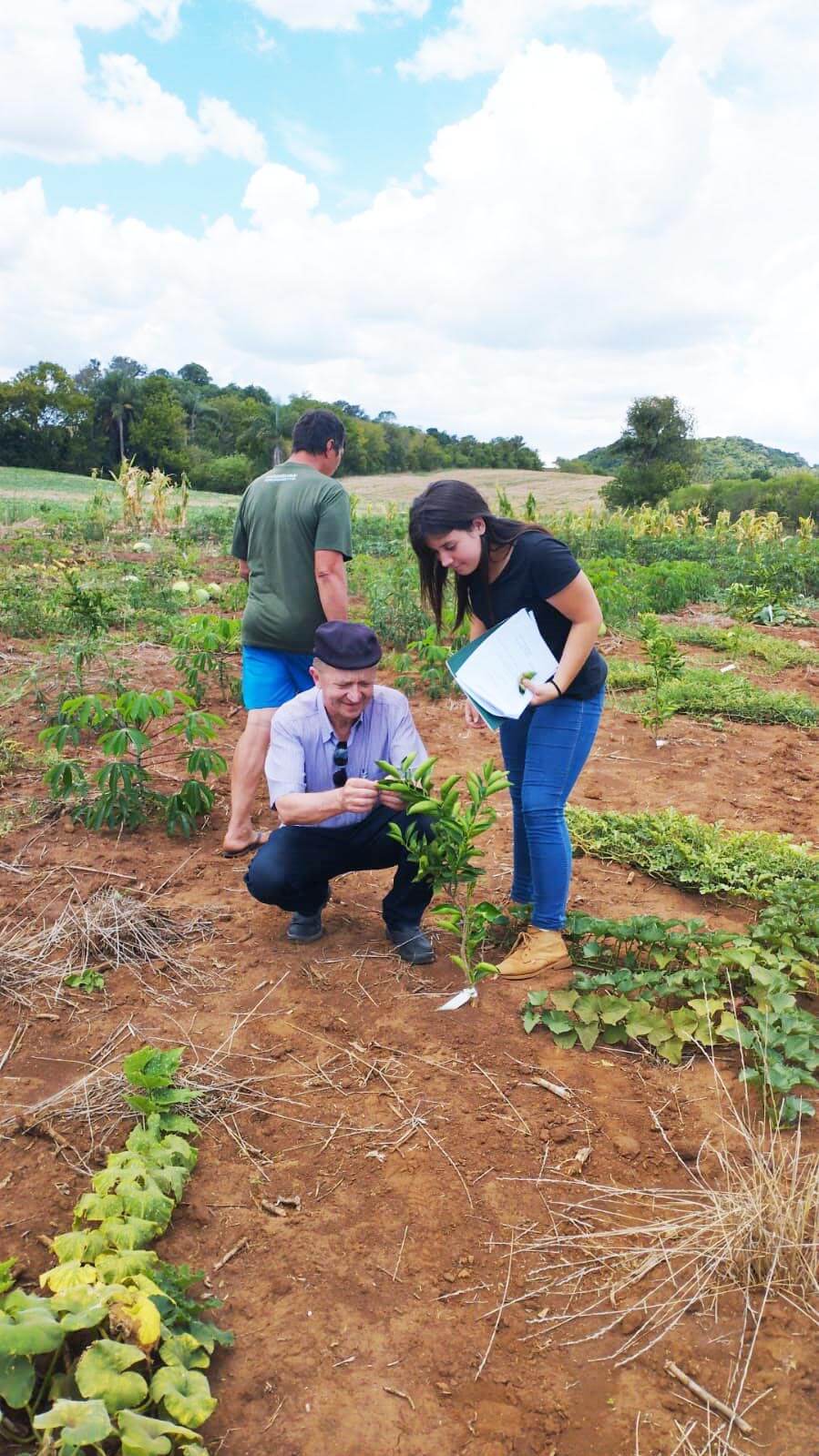 PREFEITURA FARÁ DISTRIBUIÇÃO DE MUDAS FRUTÍFERAS PARA PRODUTORES RURAIS