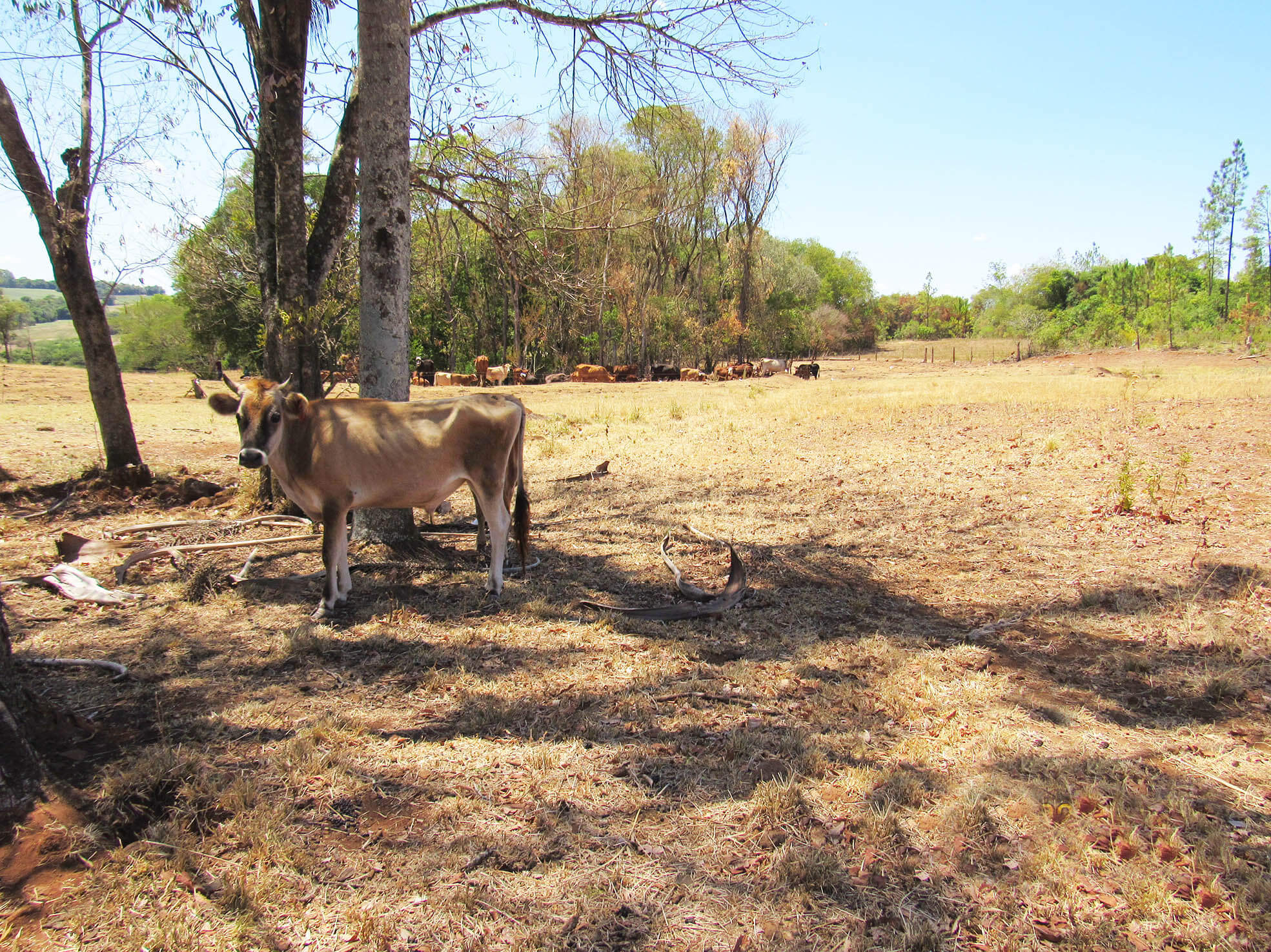 Situação de emergência é reconhecida pela União