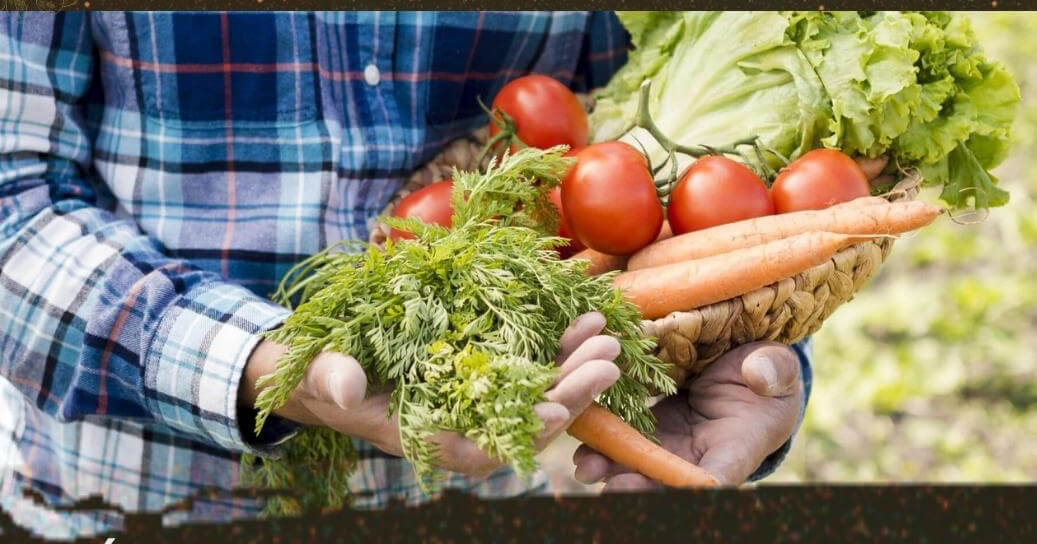 Conferência da Agricultura Familiar abre nesta terça-feira
