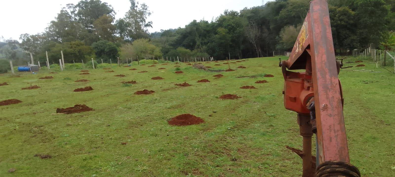 Programa de Fruticultura capacita produtores
