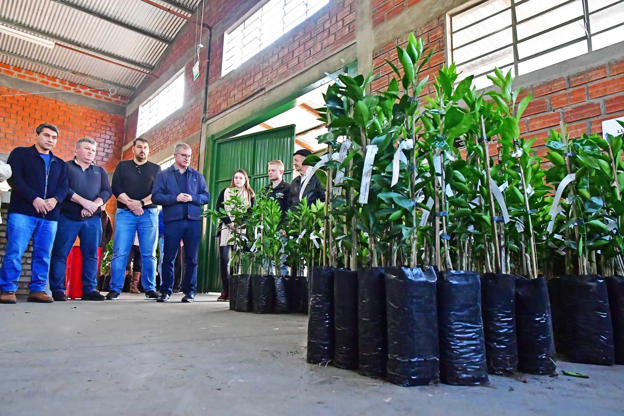 SDR repassa mais de 1.400 mudas de frutíferas