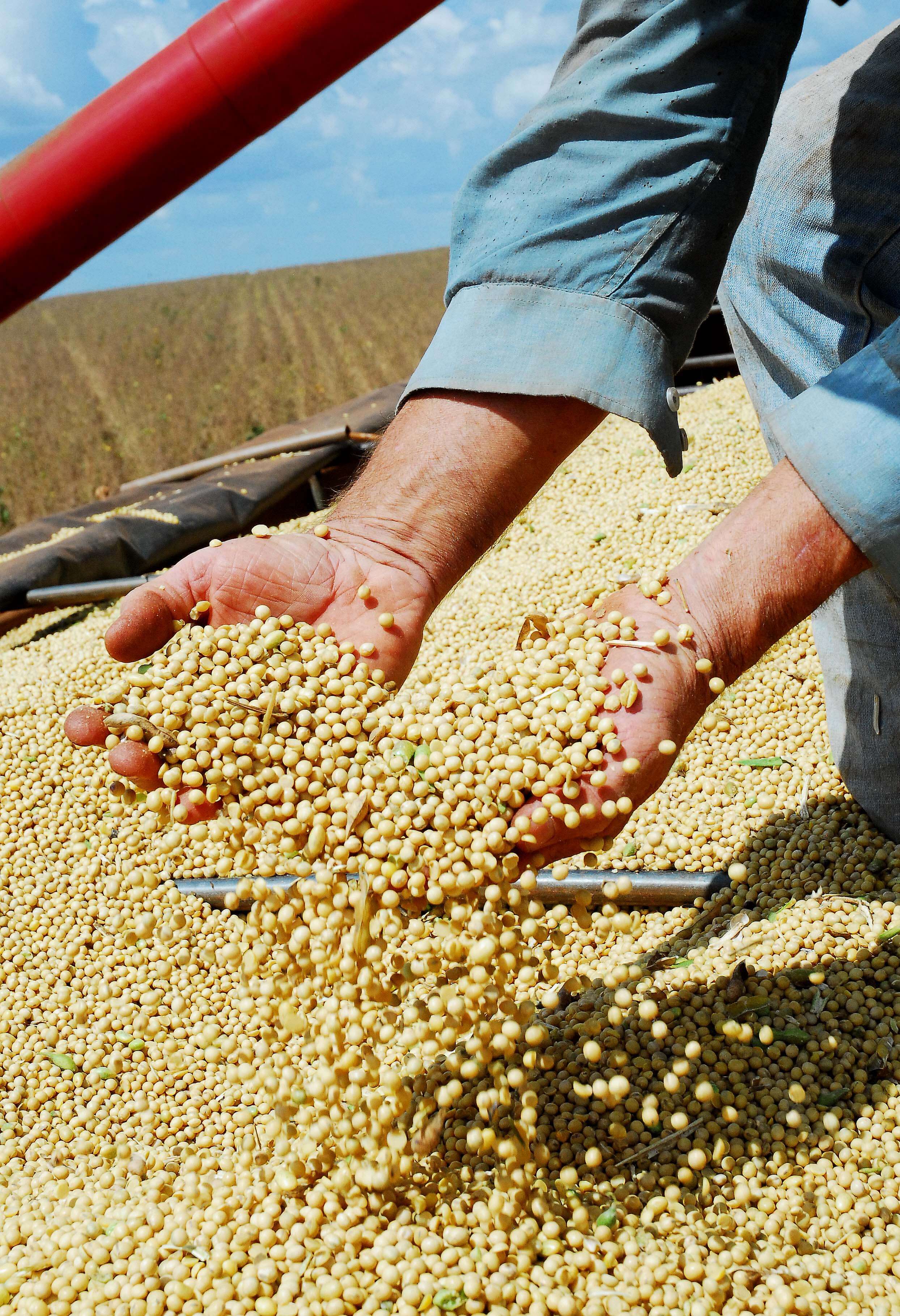 Programa de Assistência Técnica e Gerencial para Grãos será apresentado na próxima sexta