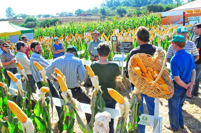 19ª FENAMILHO INTERNACIONAL Comissão da Agricultura finaliza programação nesta quinta